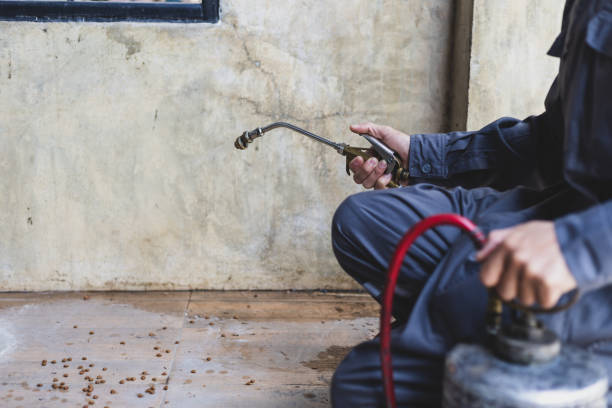 Best Pest Prevention Services  in Lake San Marcos, CA