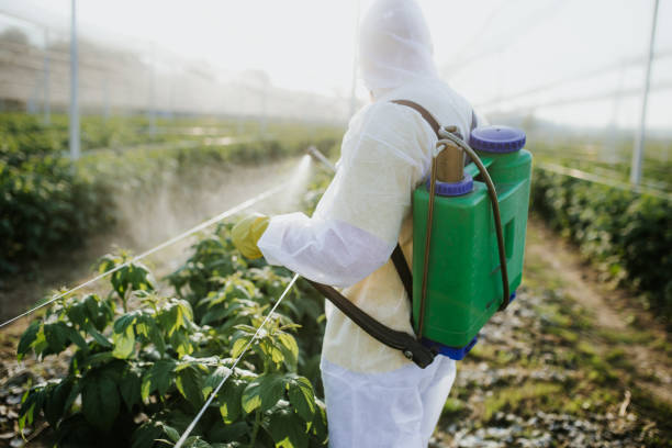 Pest Control Cost in Lake San Marcos, CA